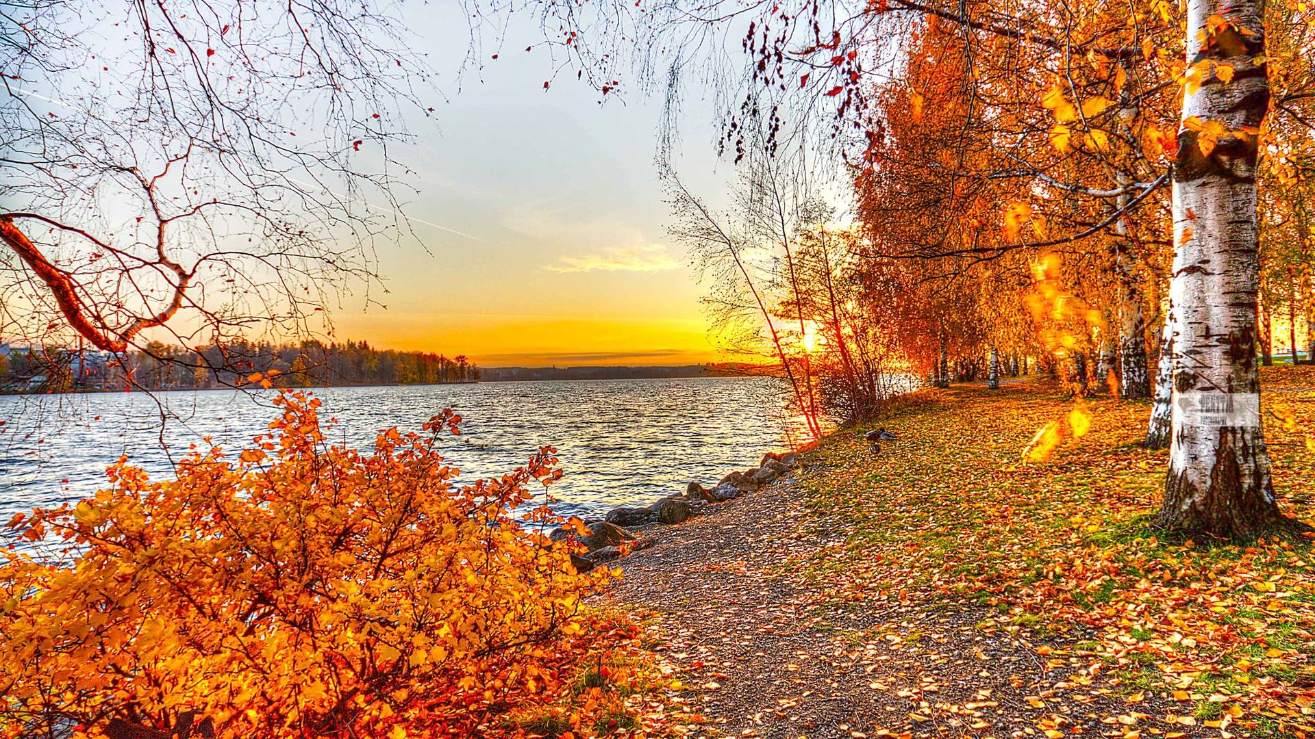 Beautiful Autumn Wallpapers