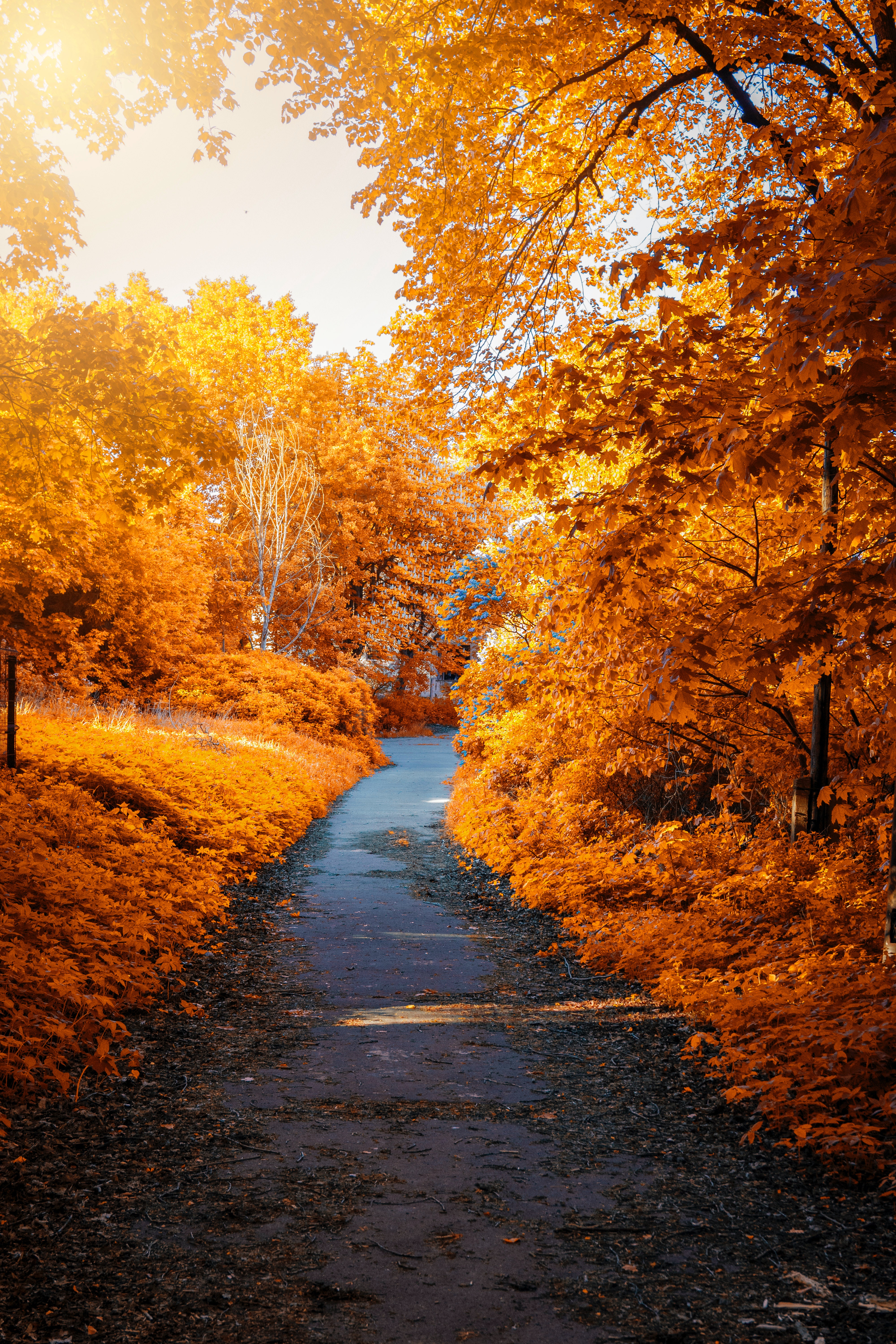 Beautiful Autumn Wallpapers