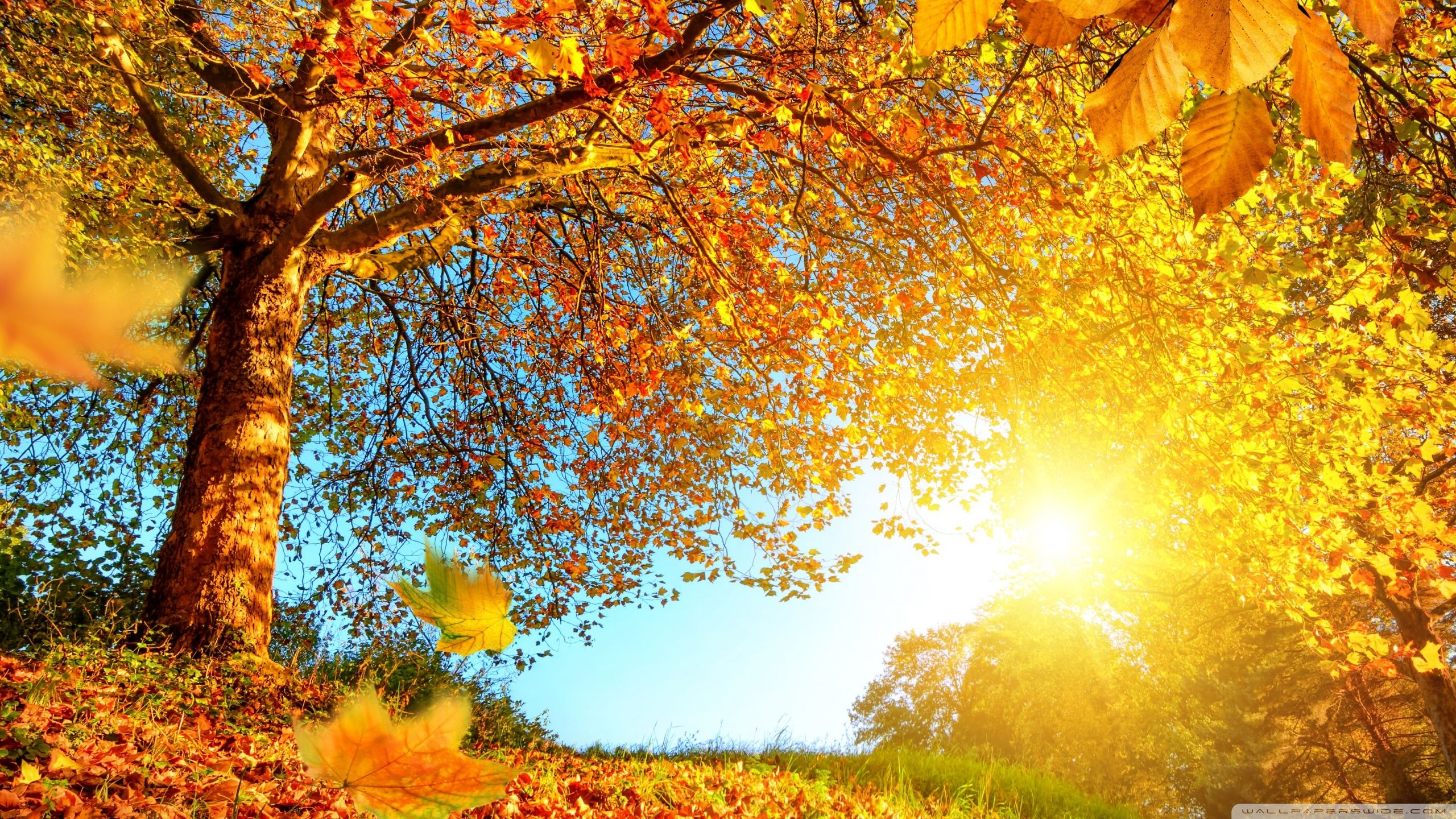 Beautiful Autumn Wallpapers Wallpapers