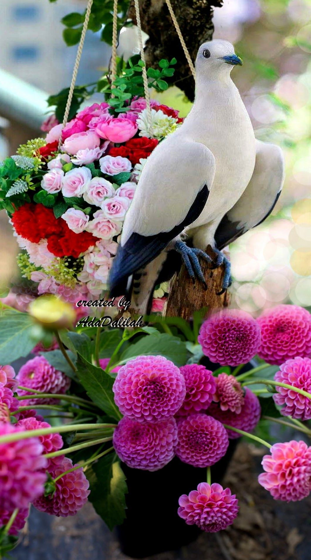 Beautiful Bird And Flower Wallpapers