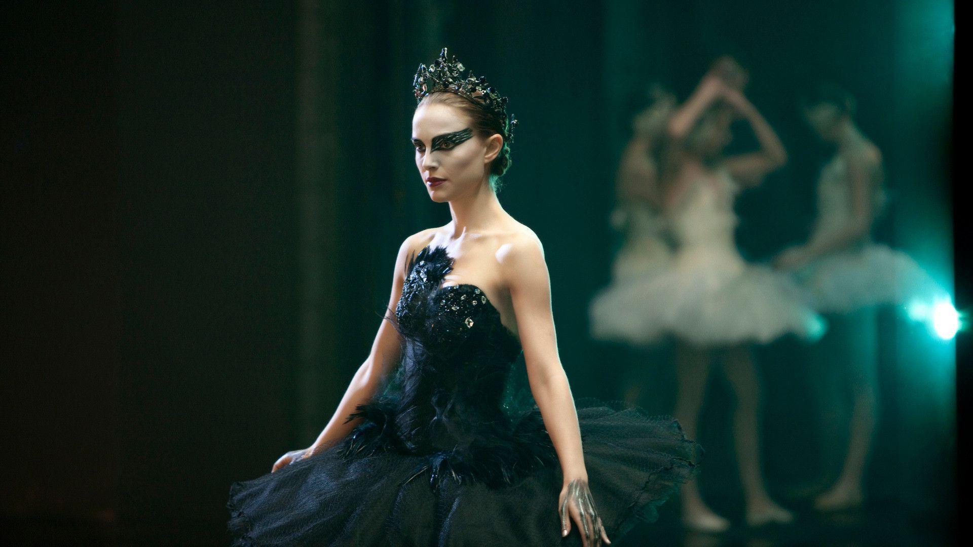 Beautiful Black Swan Wallpapers Wallpapers