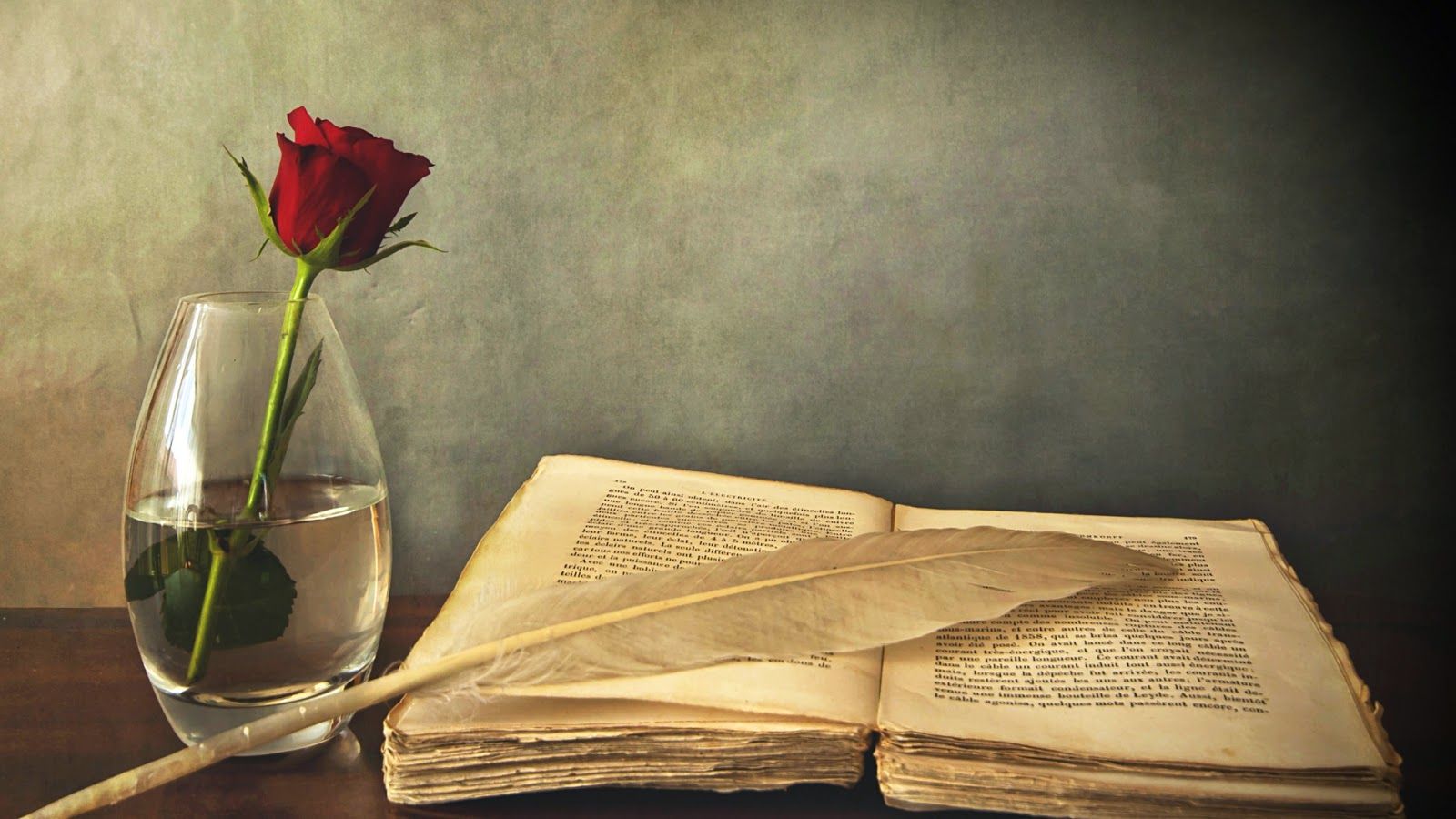 Beautiful Books Wallpapers