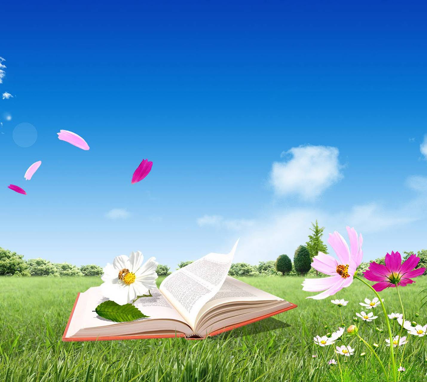 Beautiful Books Wallpapers