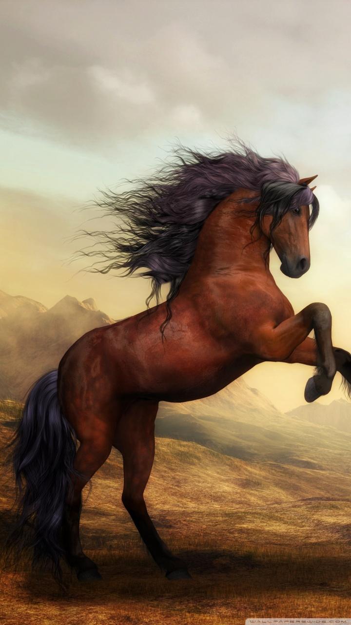 Beautiful Brown Horses Wallpapers