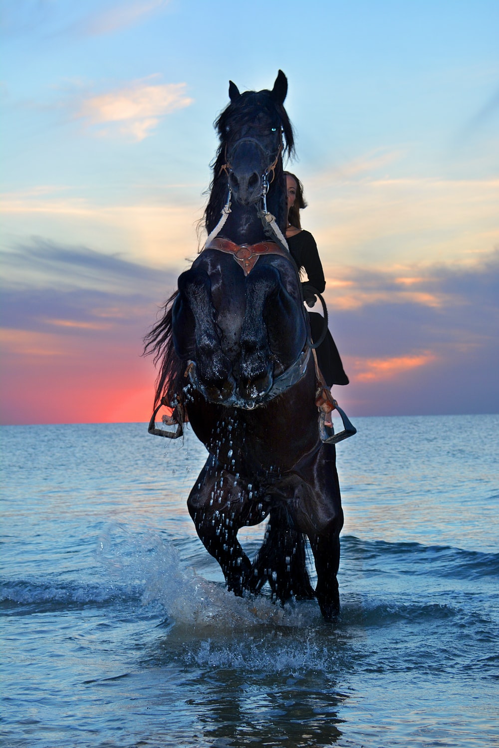 Beautiful Brown Horses Wallpapers