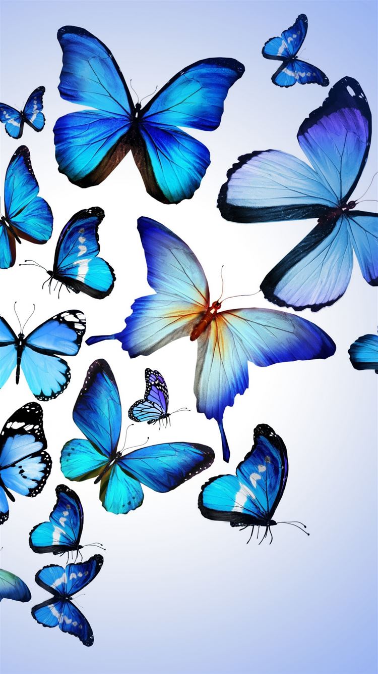 Beautiful Butterfly Iphone Wallpapers