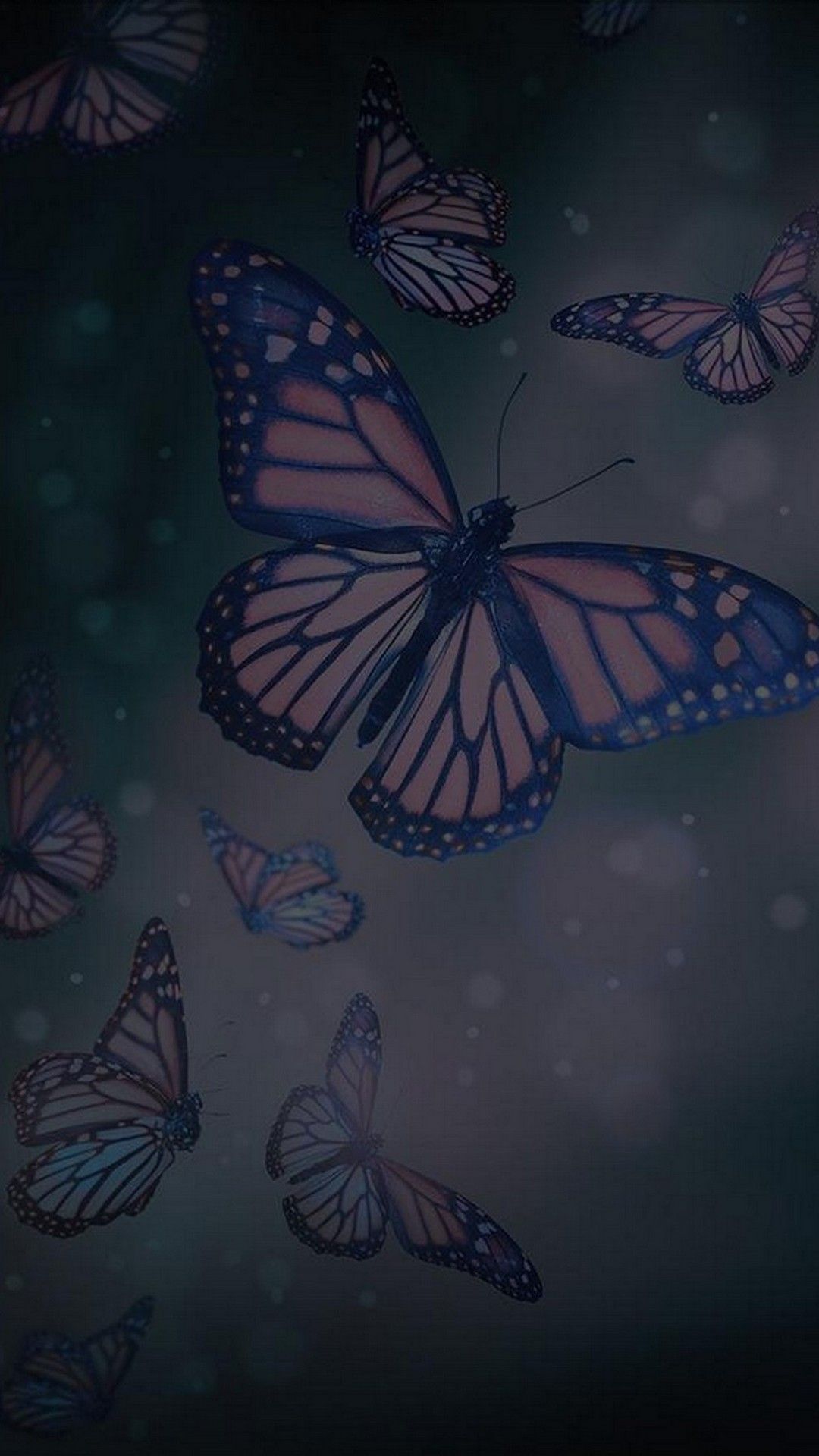 Beautiful Butterfly Iphone Wallpapers