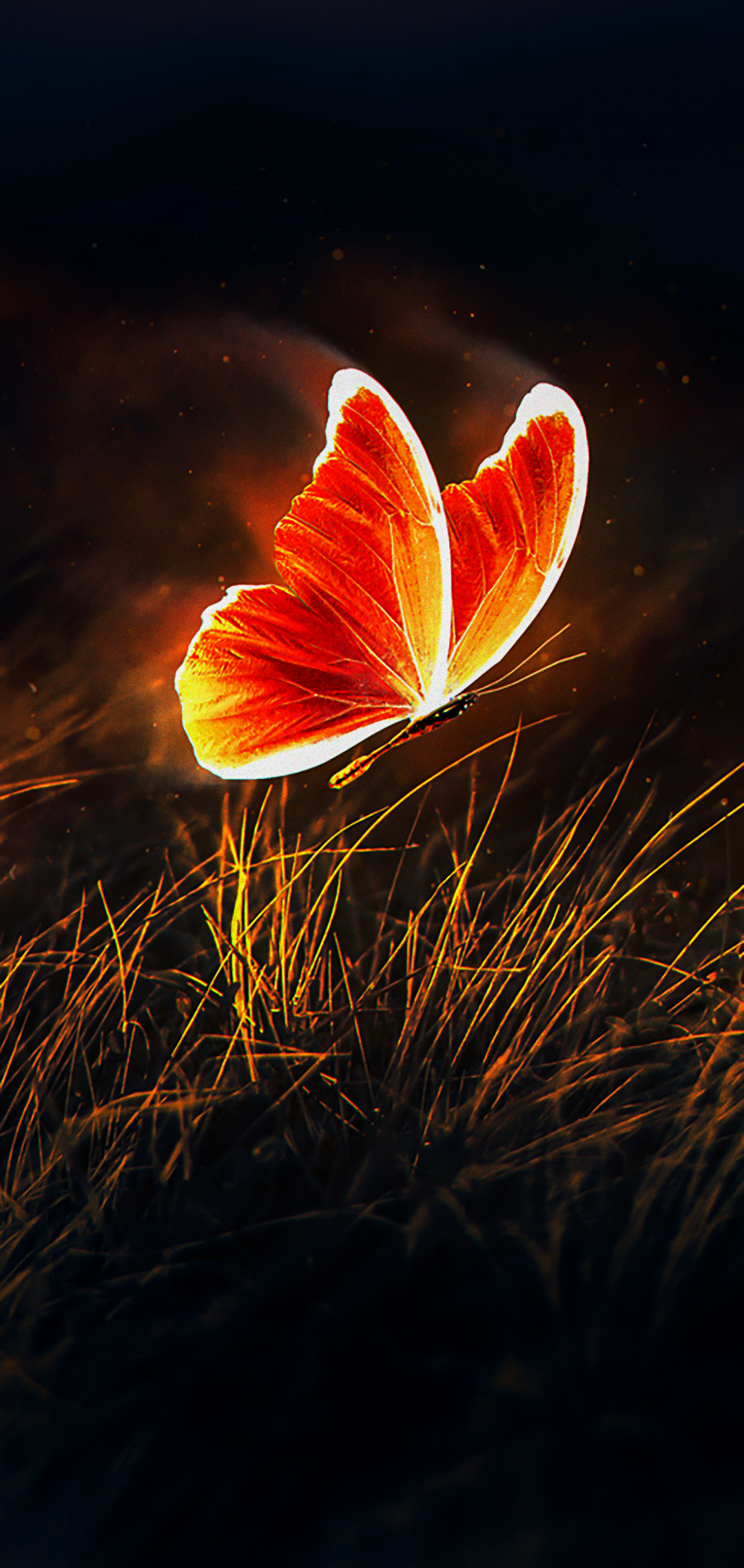 Beautiful Butterfly Iphone Wallpapers