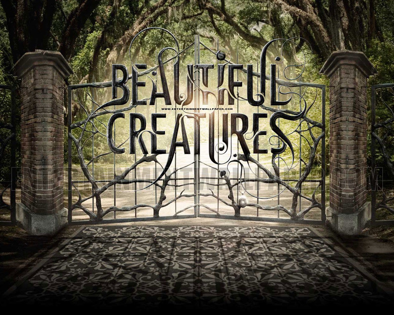 Beautiful Creatures Wallpapers