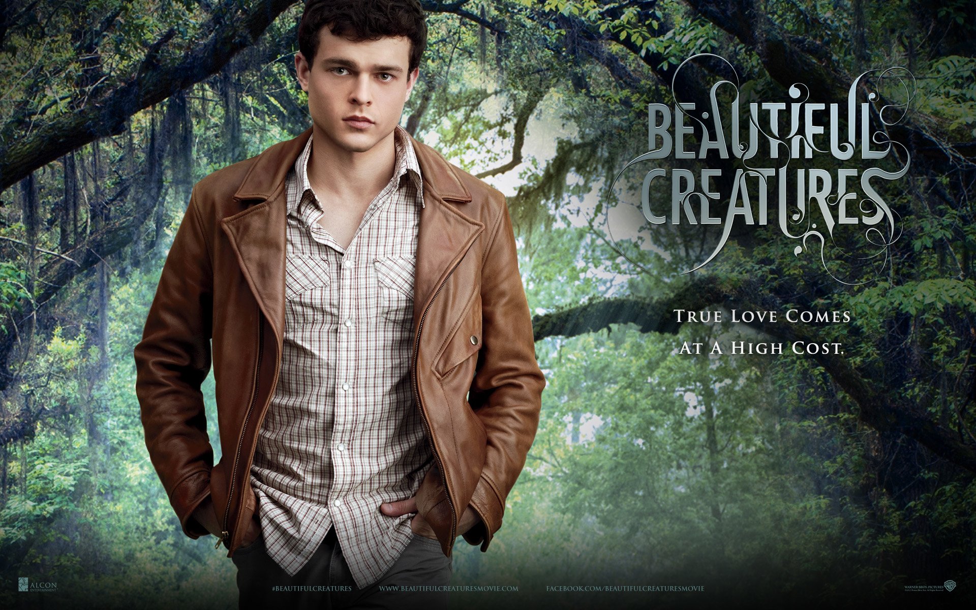 Beautiful Creatures Wallpapers