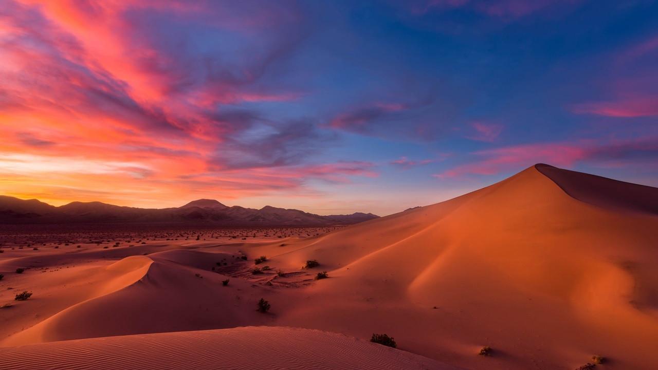 Beautiful Desert Oasis Background