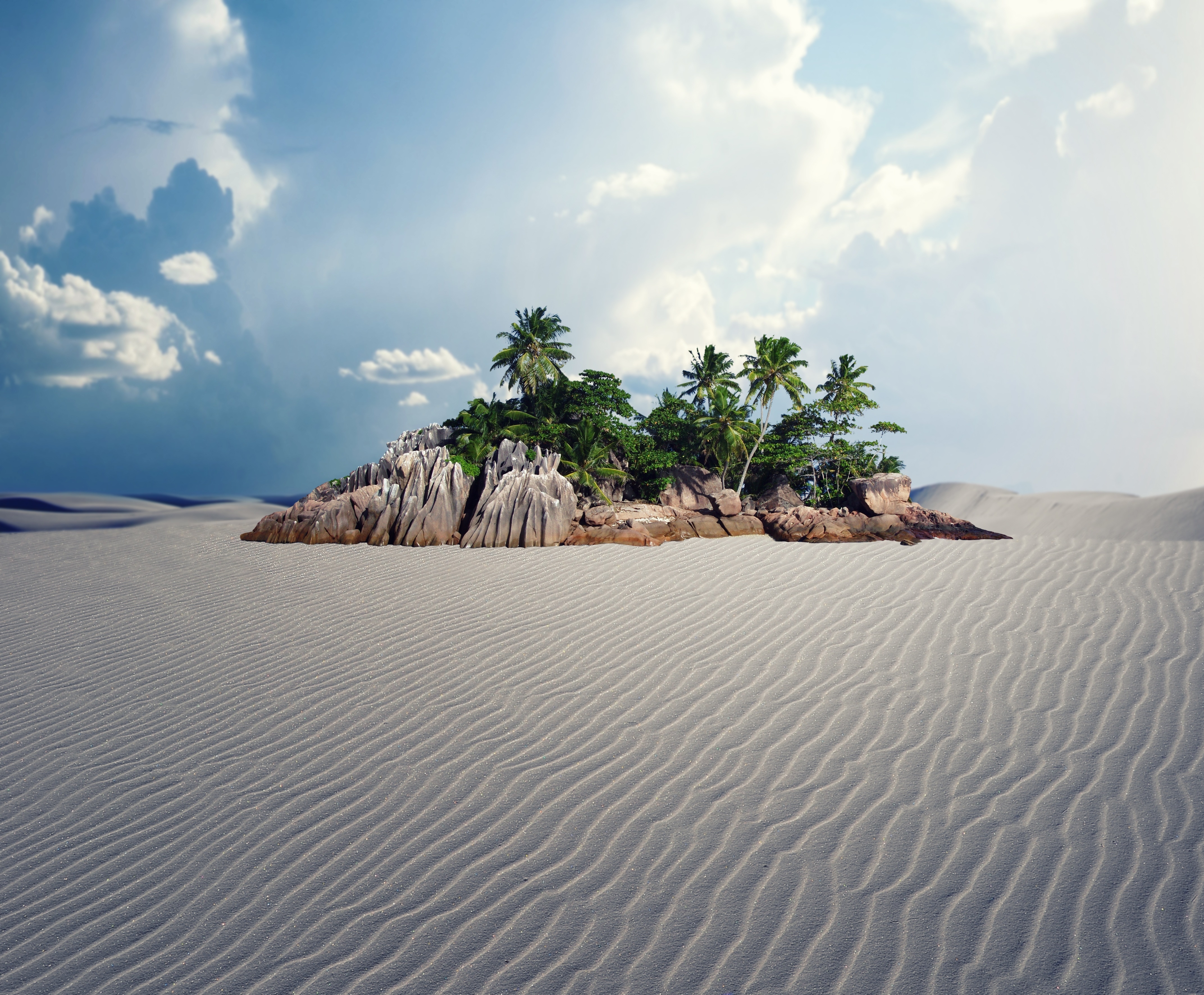 Beautiful Desert Oasis Background