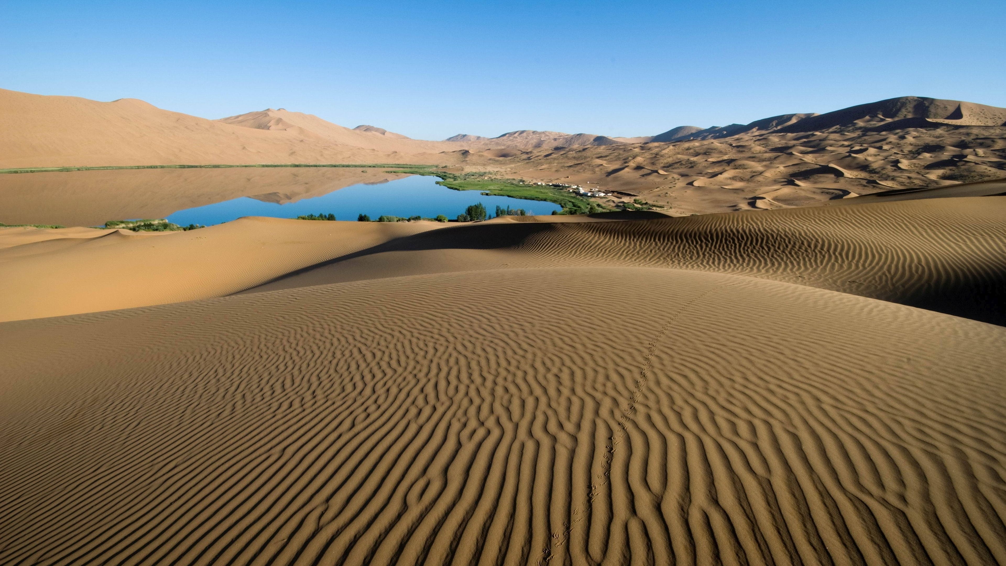 Beautiful Desert Oasis Background
