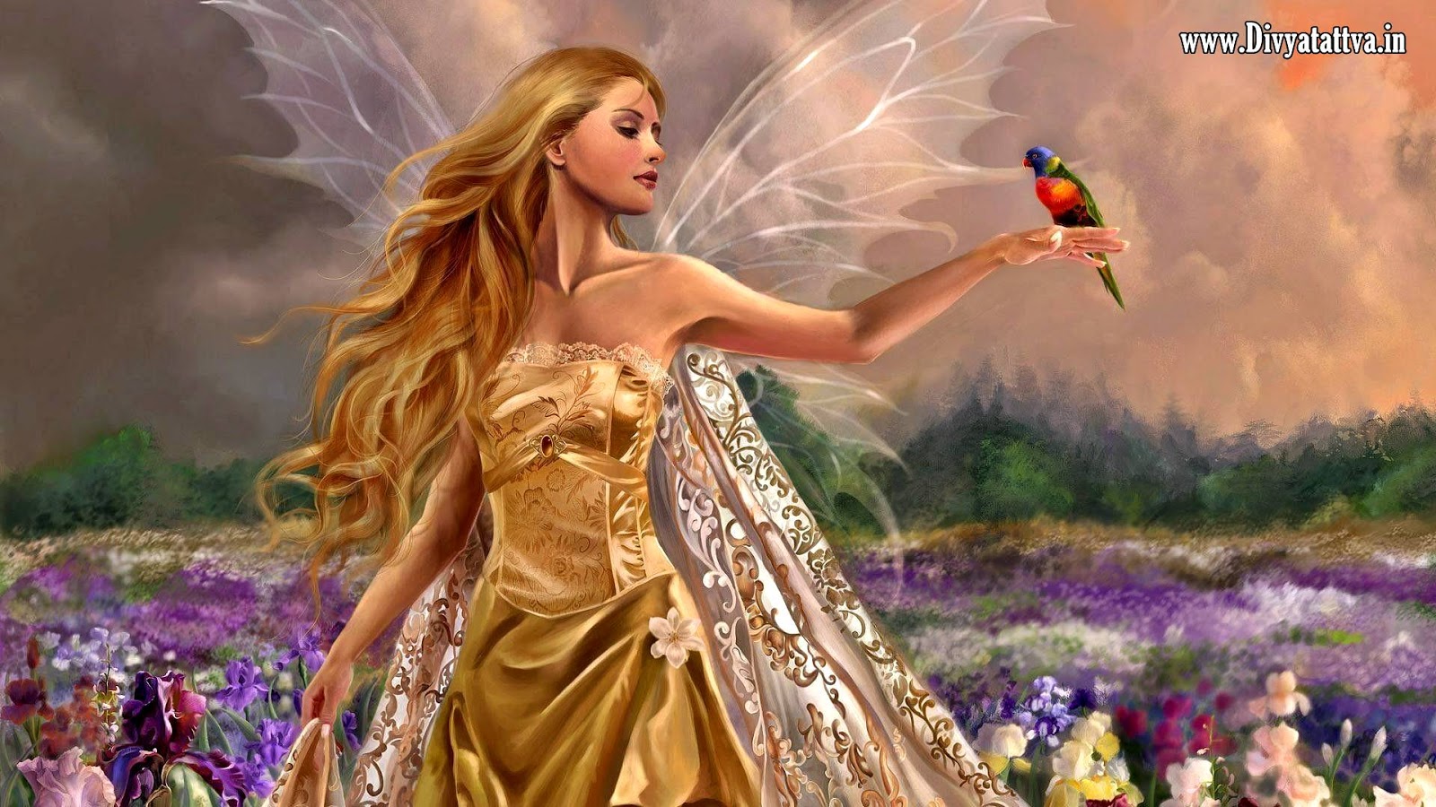 Beautiful Fairy Wallpapers Wallpapers