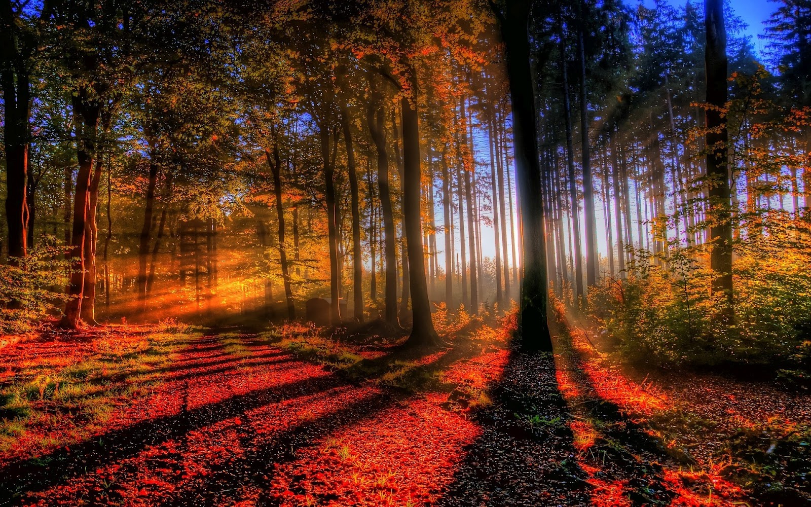 Beautiful Fall Pictures Wallpapers