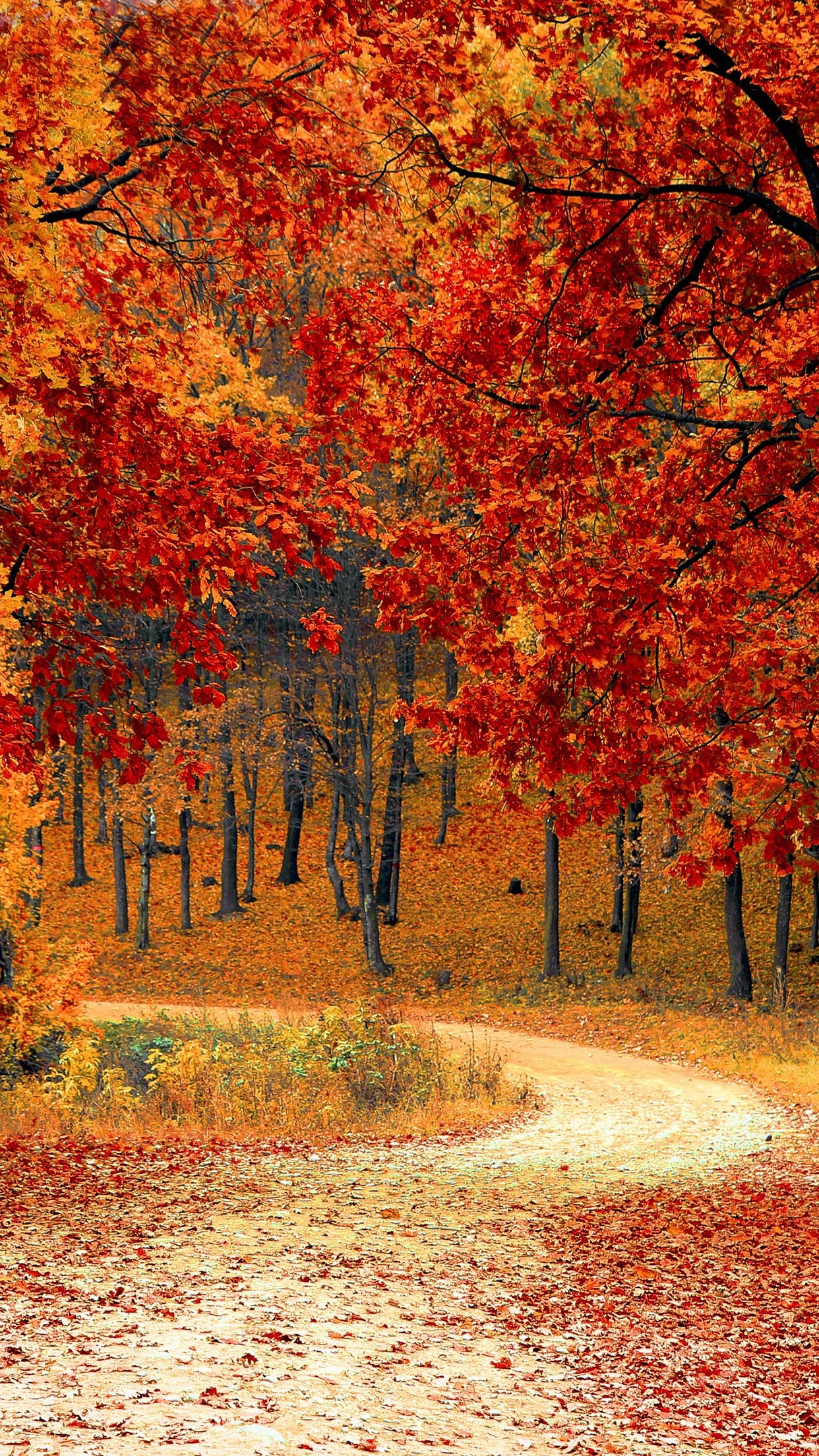 Beautiful Fall Pictures Wallpapers