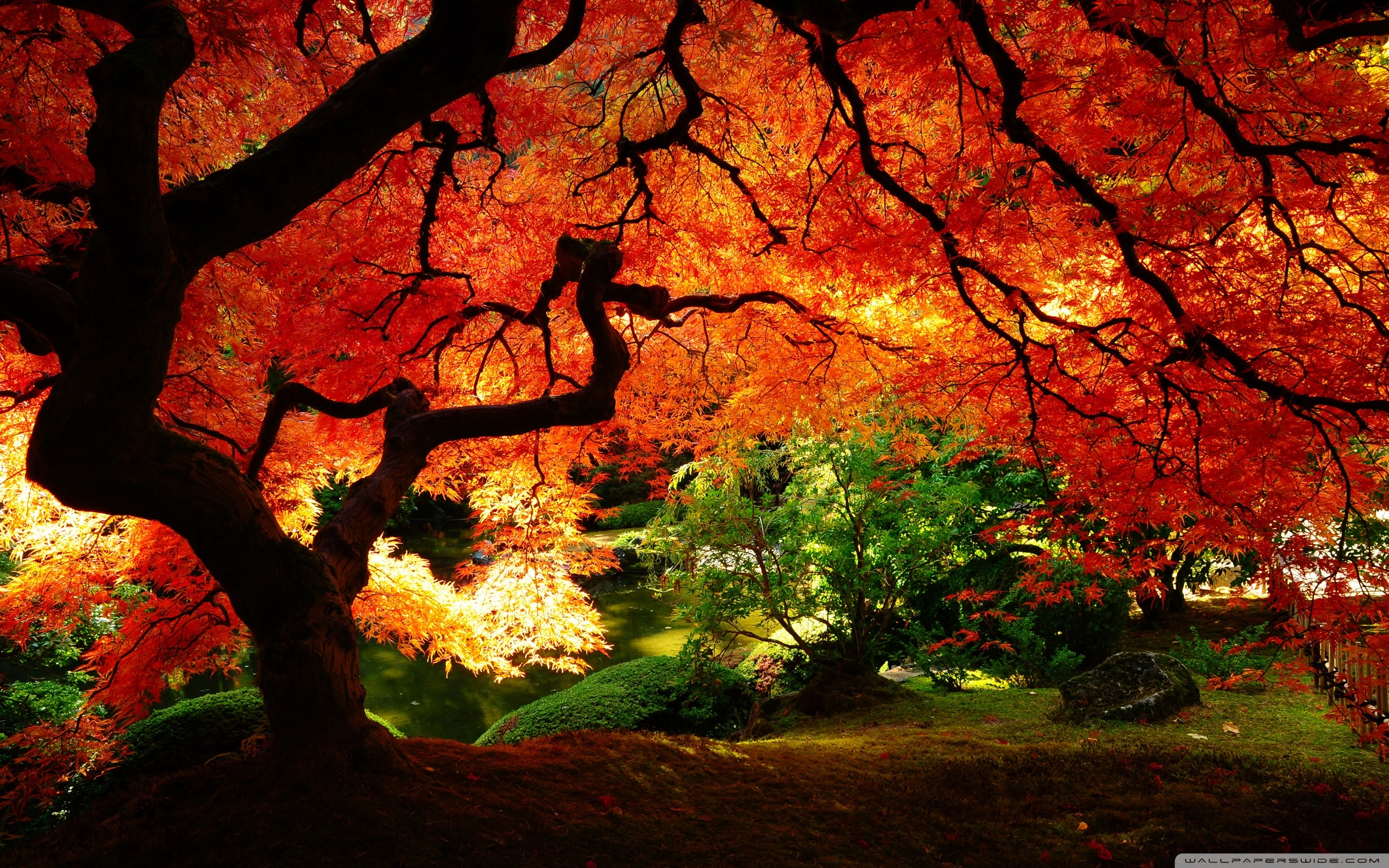 Beautiful Fall Pictures Wallpapers