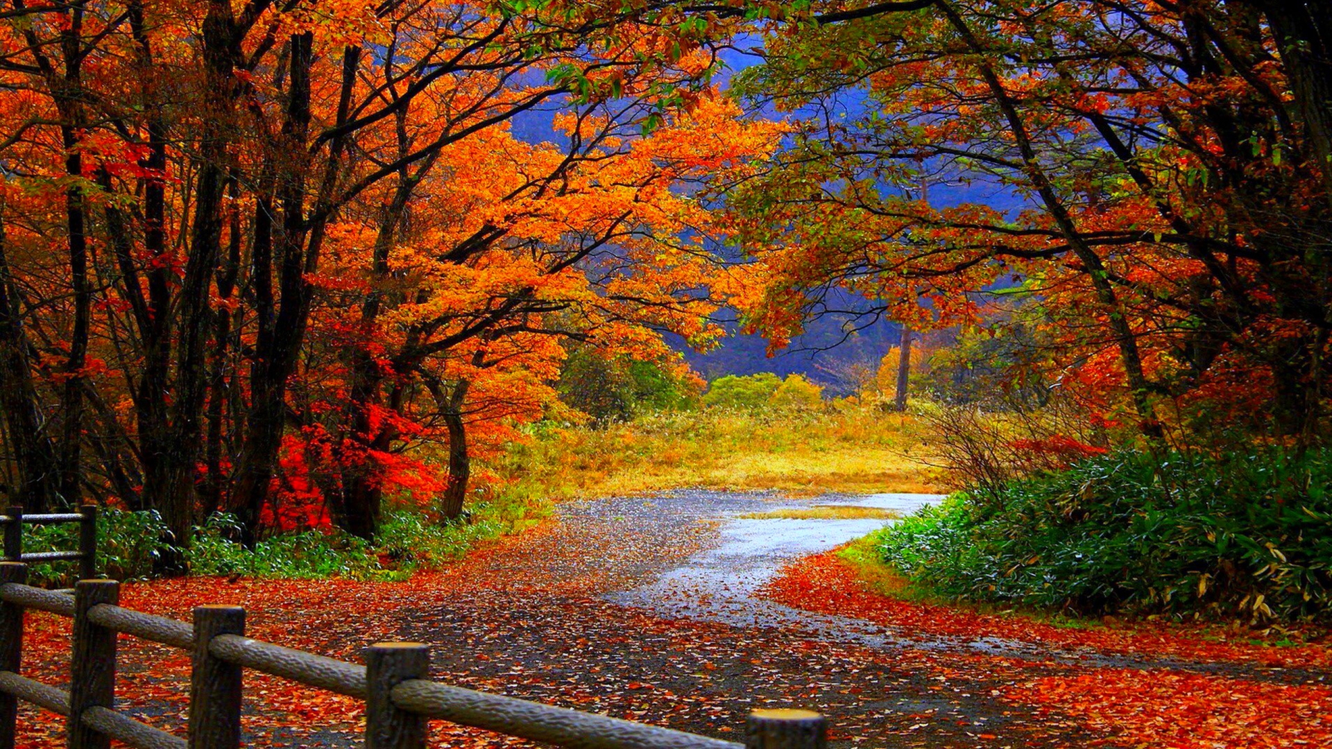 Beautiful Fall Pictures Wallpapers