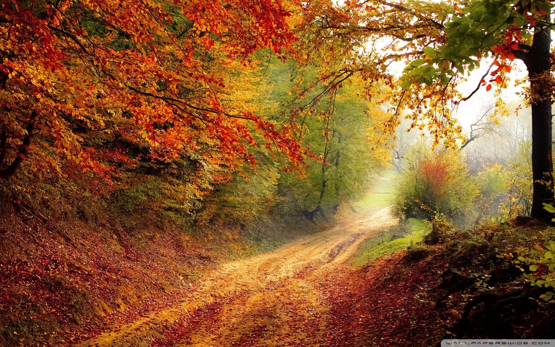 Beautiful Fall Pictures Wallpapers