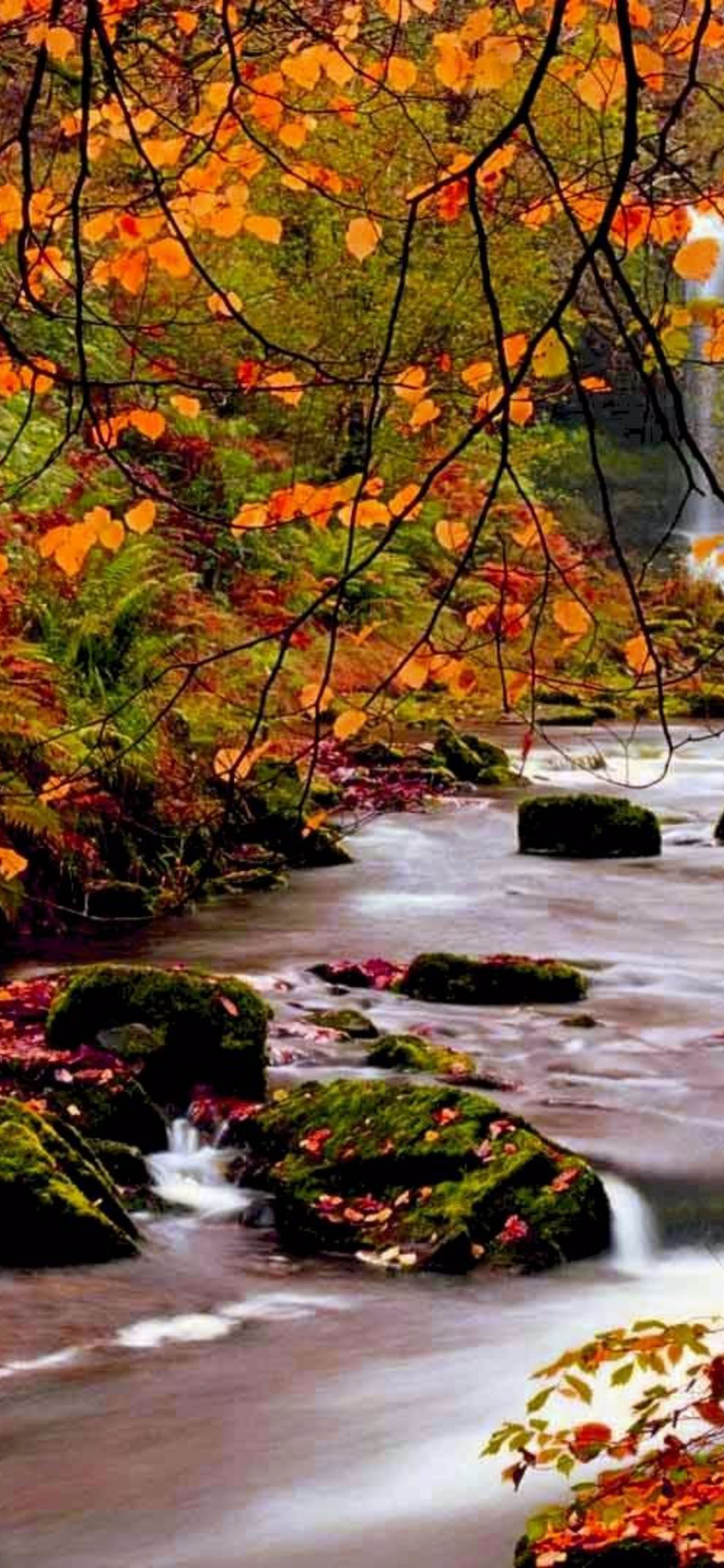 Beautiful Fall Pictures Wallpapers Wallpapers