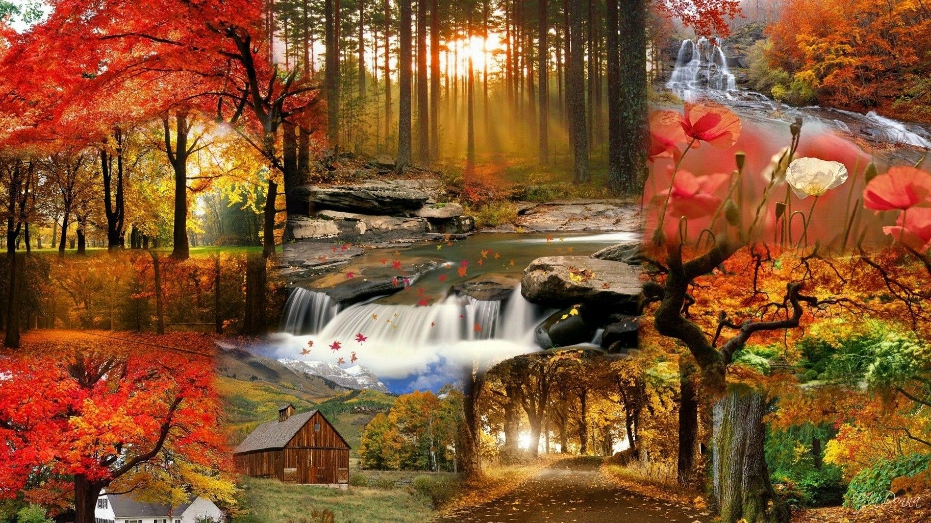 Beautiful Fall Pictures Wallpapers Wallpapers