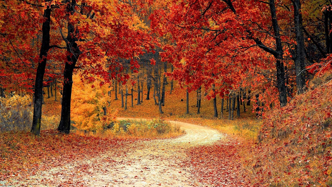 Beautiful Fall Pictures Wallpapers Wallpapers