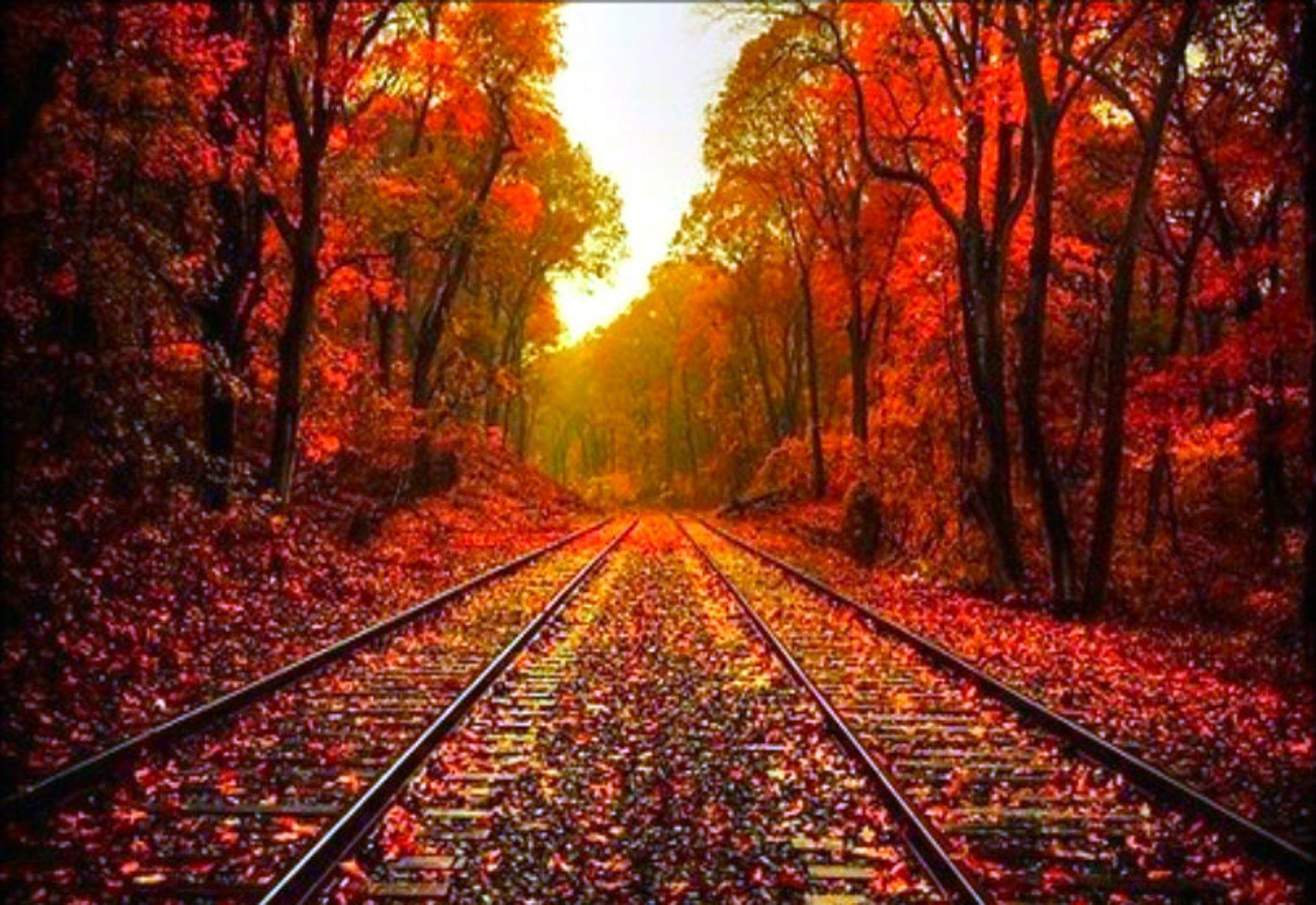 Beautiful Fall Pictures Wallpapers Wallpapers