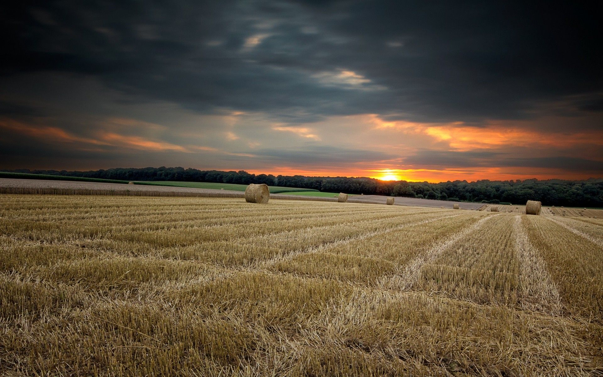 Beautiful Field Sunset 5K Wallpapers