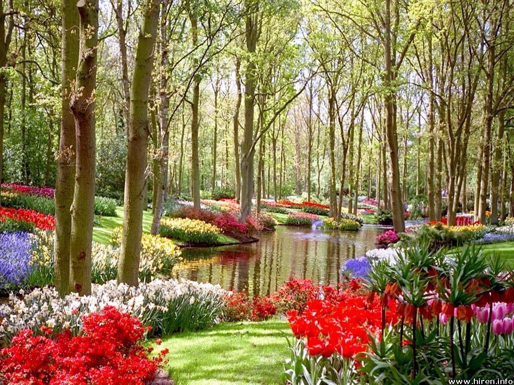 Beautiful Flower Garden Wallpapers