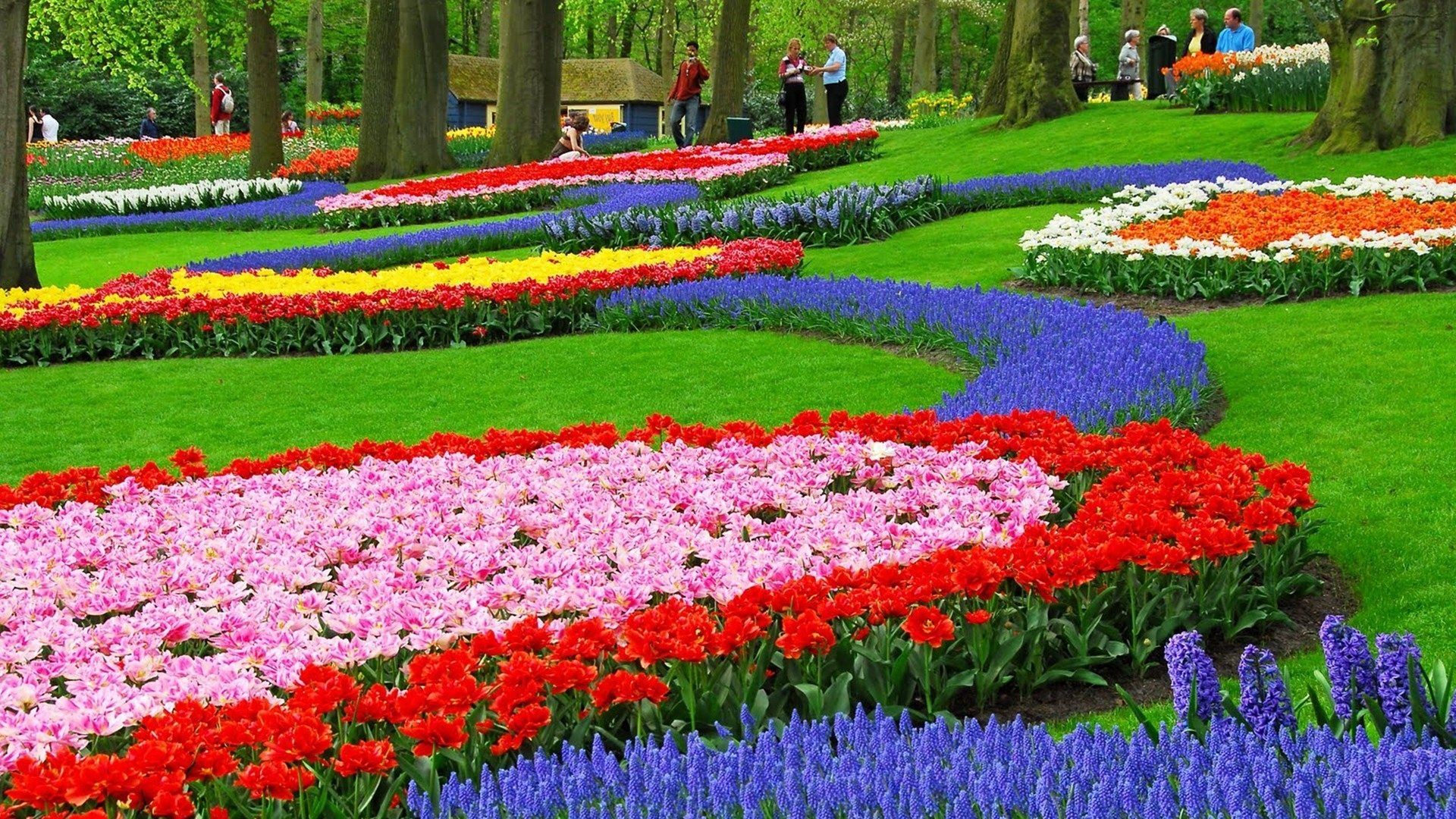 Beautiful Flower Garden Wallpapers