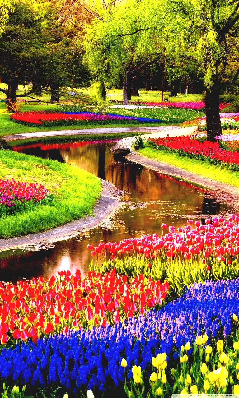 Beautiful Flower Garden Wallpapers