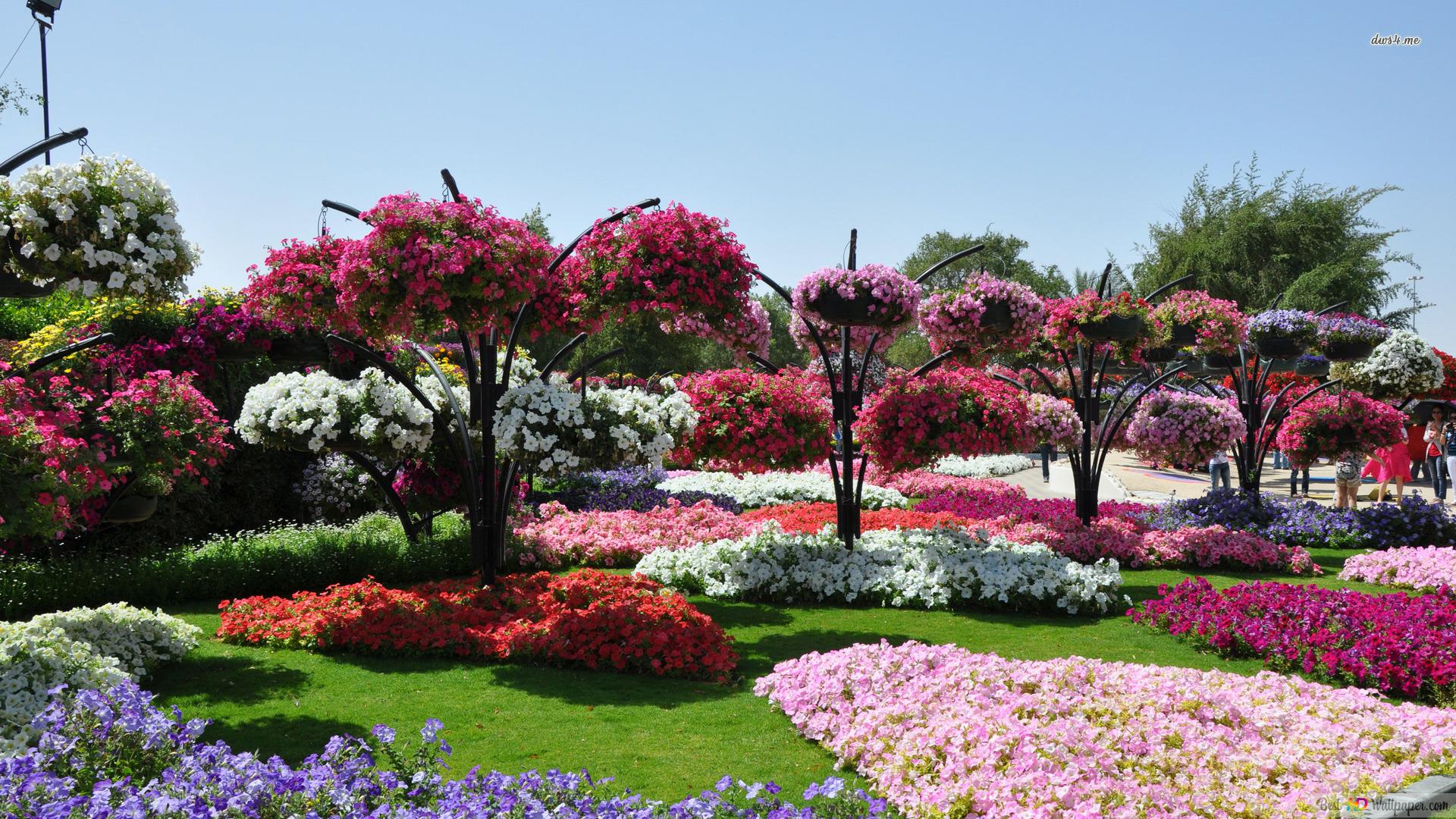 Beautiful Flower Garden Wallpapers