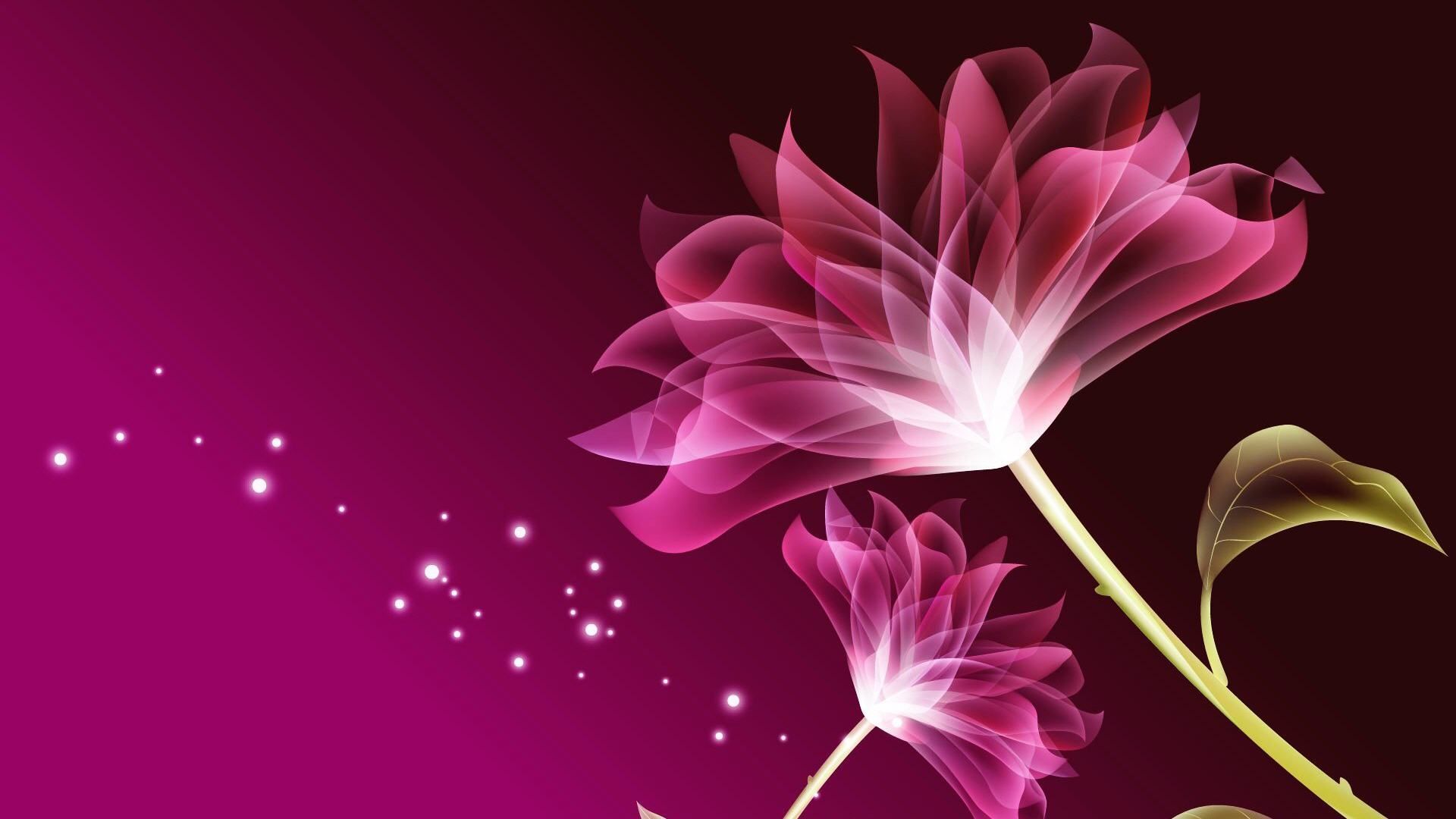 Beautiful Flowers Wallpaper Wallpapers