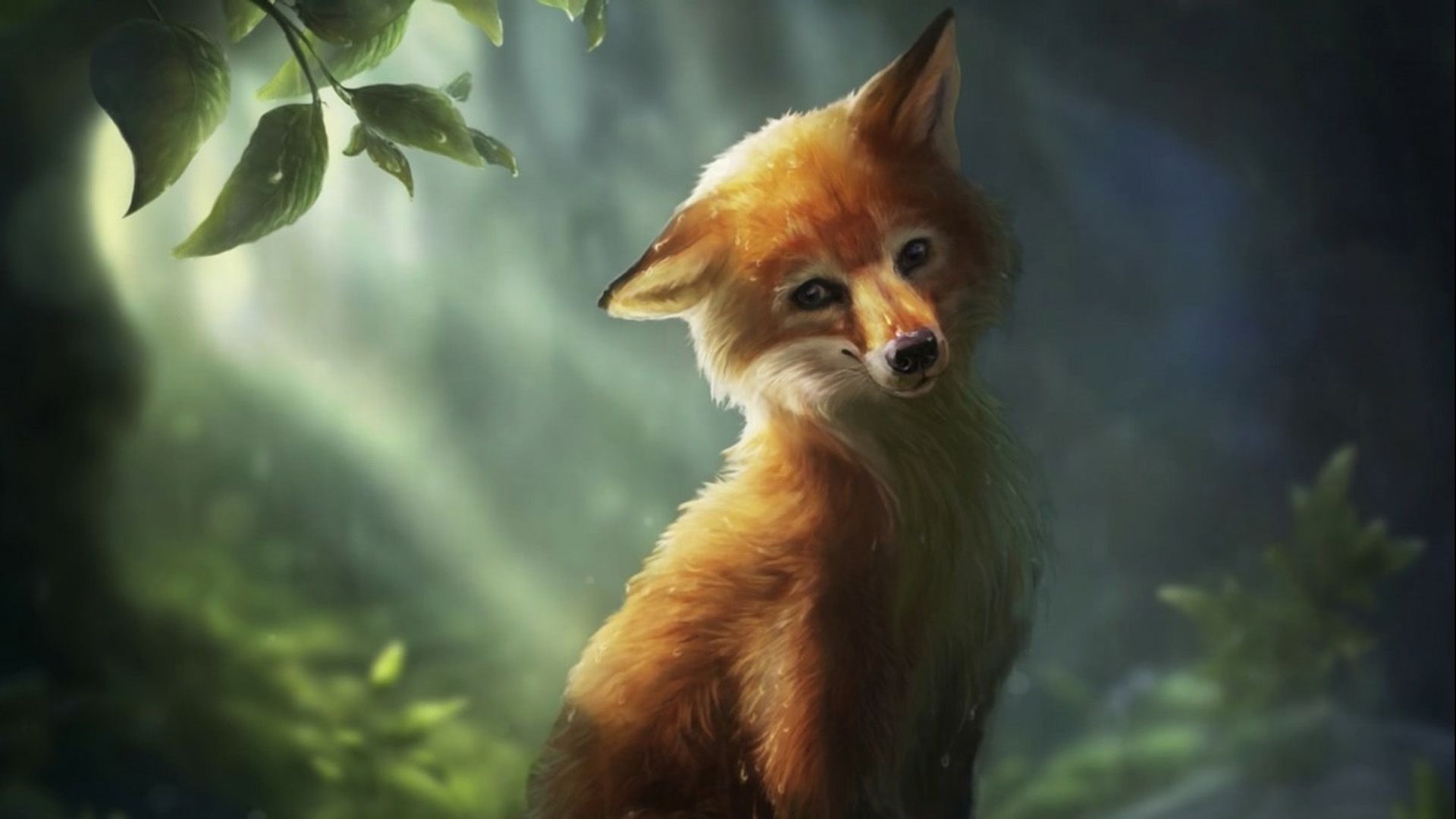 Beautiful Fox Wallpapers