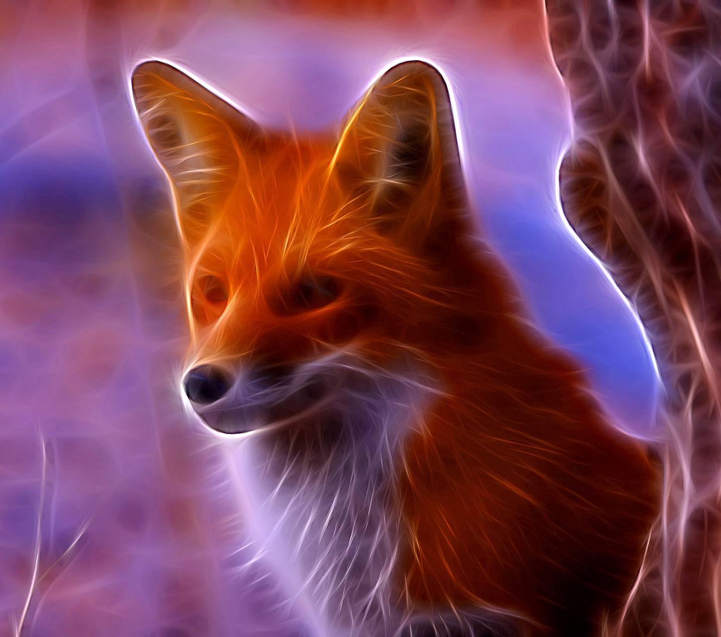 Beautiful Fox Wallpapers