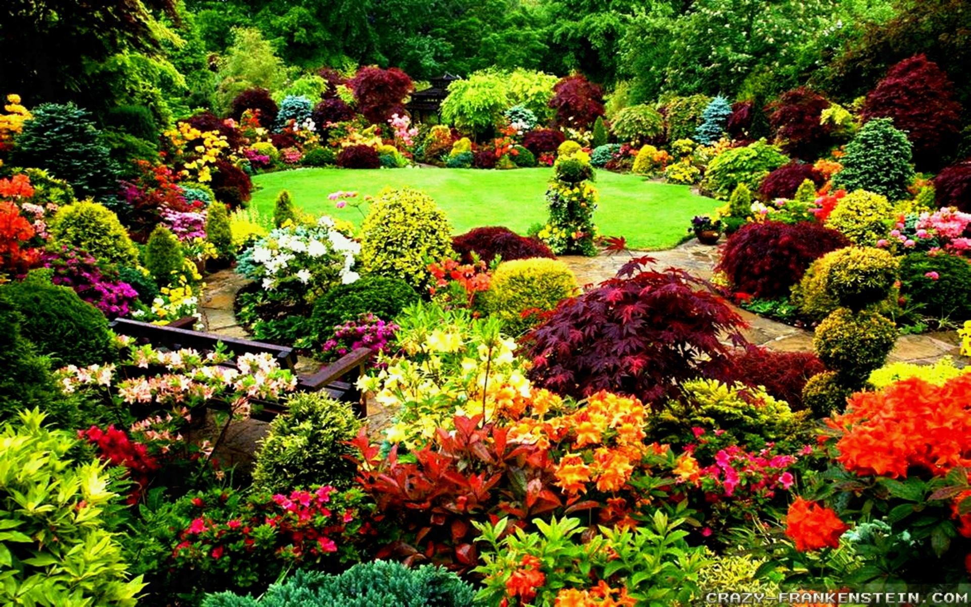 Beautiful Garden Wallpapers