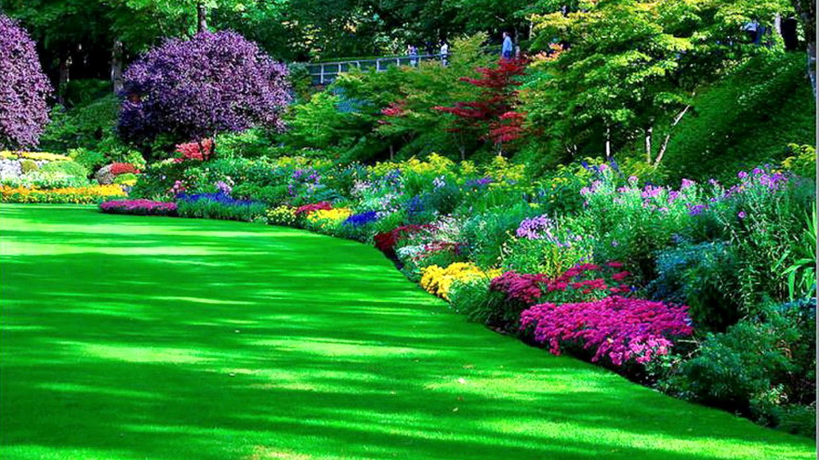 Beautiful Garden Wallpapers