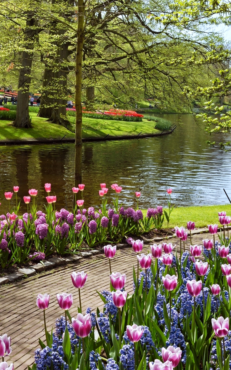 Beautiful Garden Wallpapers