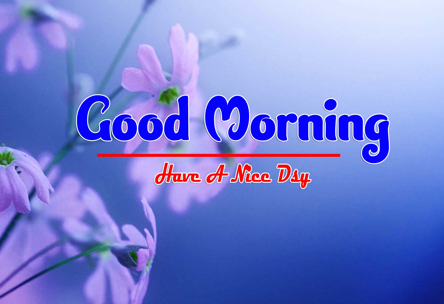 Beautiful Good Morning Hd Wallpapers