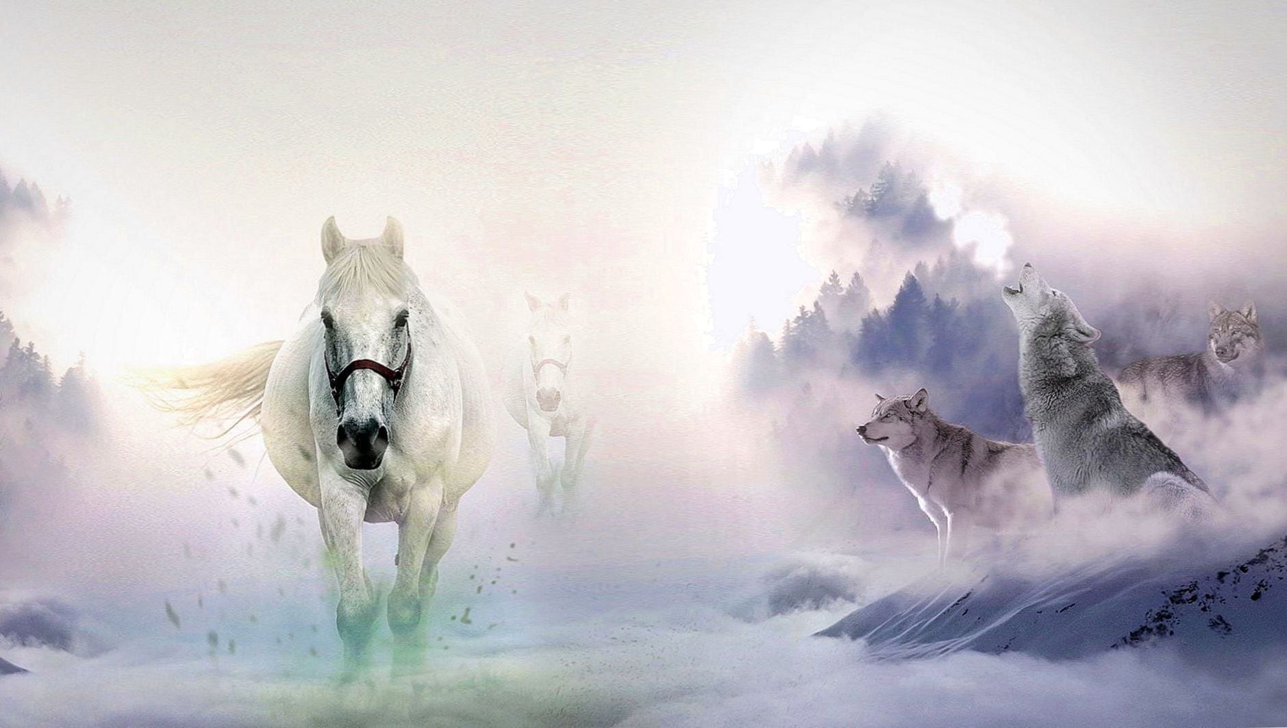 Beautiful Horses And Wolves Wallpapers