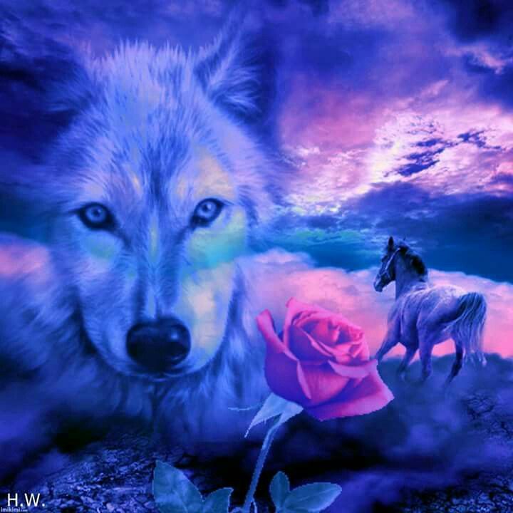 Beautiful Horses And Wolves Wallpapers