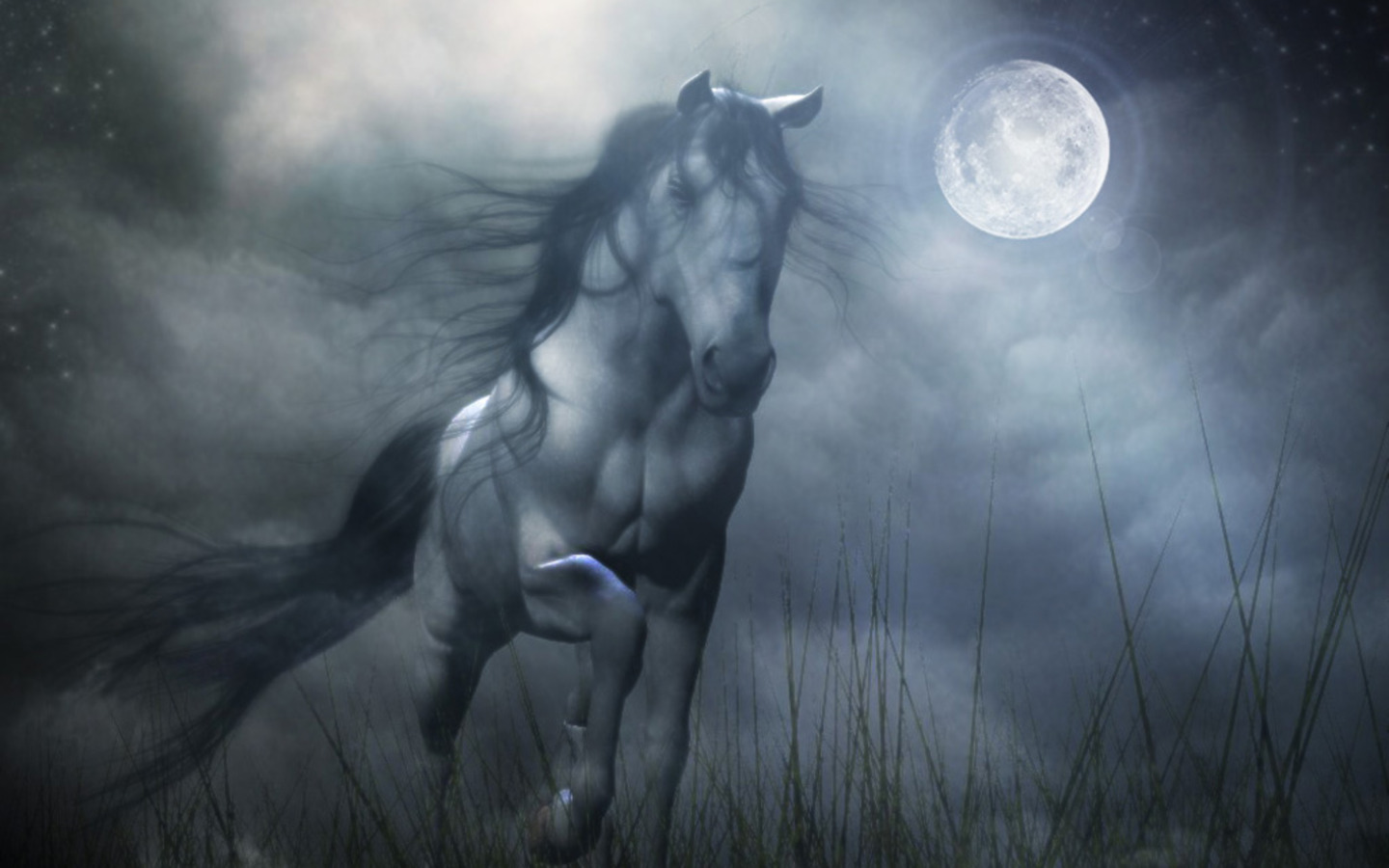 Beautiful Horses And Wolves Wallpapers