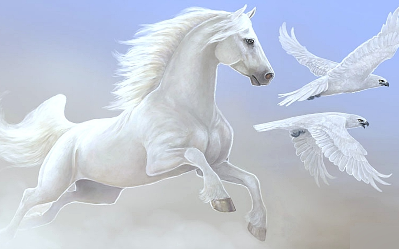 Beautiful Horses And Wolves Wallpapers