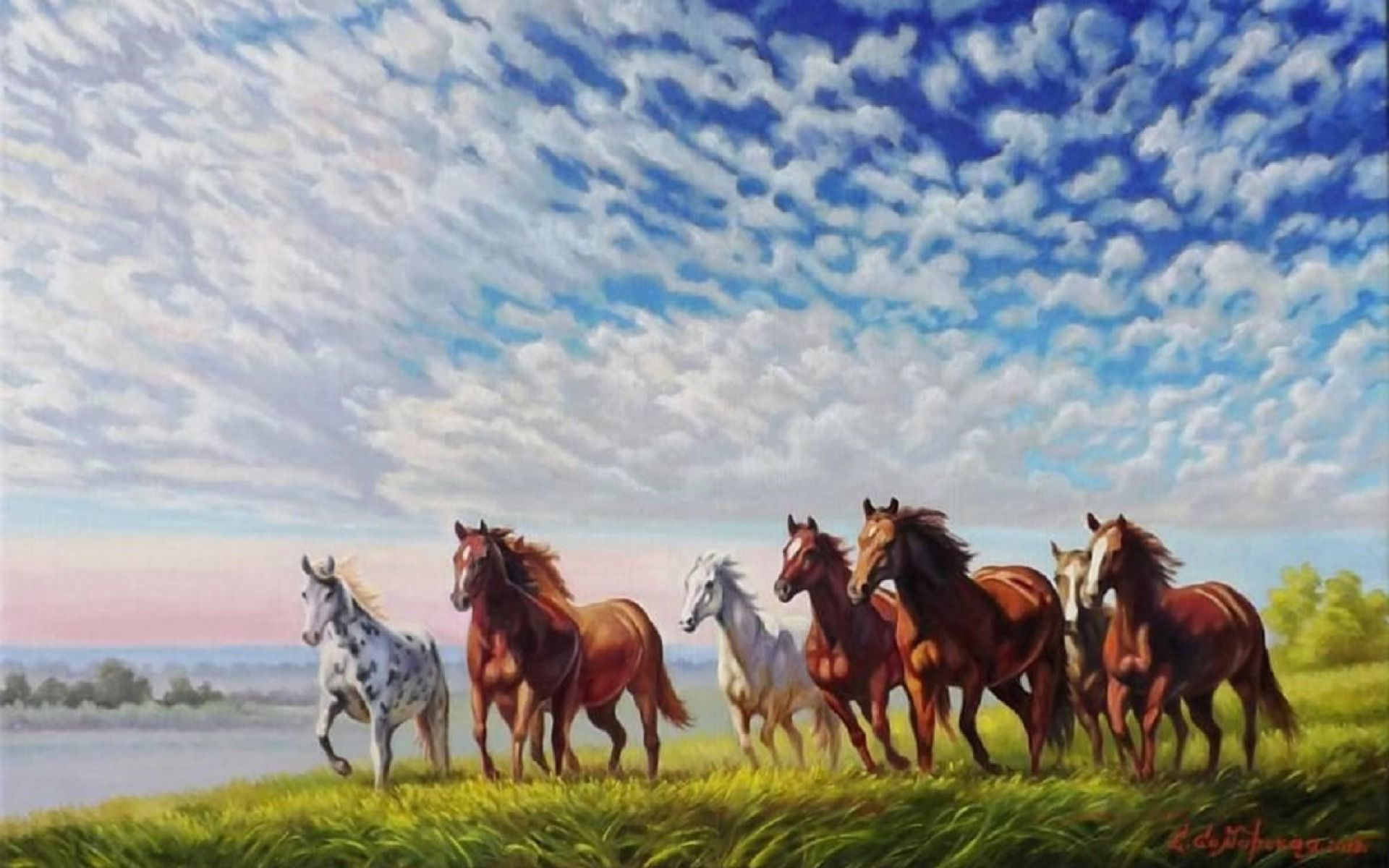 Beautiful Horses Running Wild Wallpapers