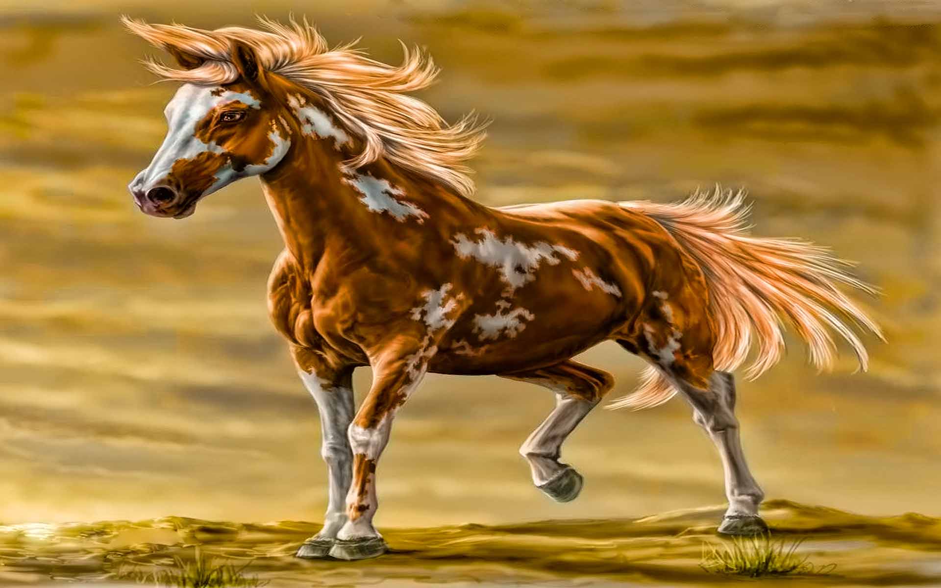 Beautiful Horses Running Wild Wallpapers