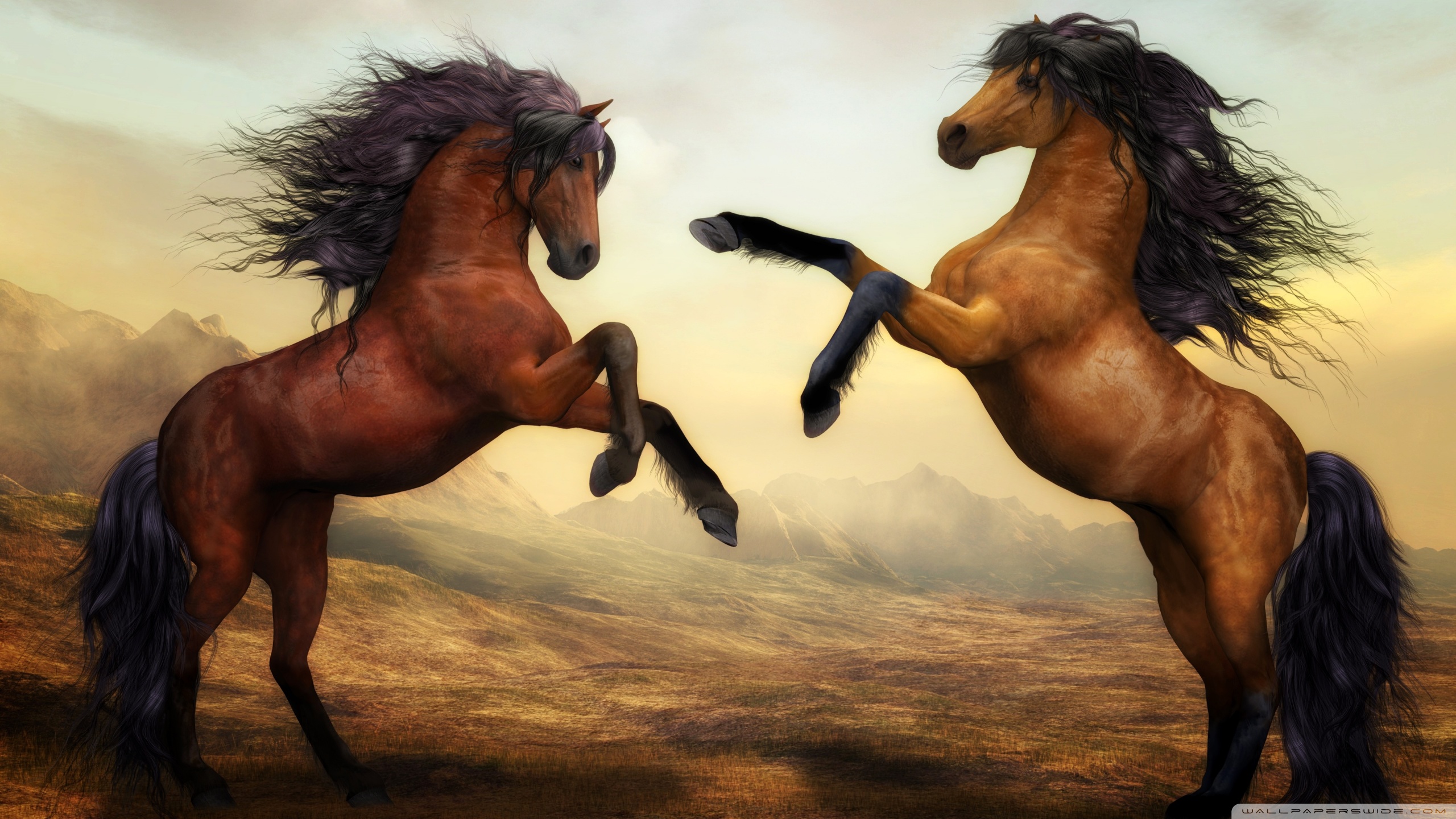 Beautiful Horses Wallpapers