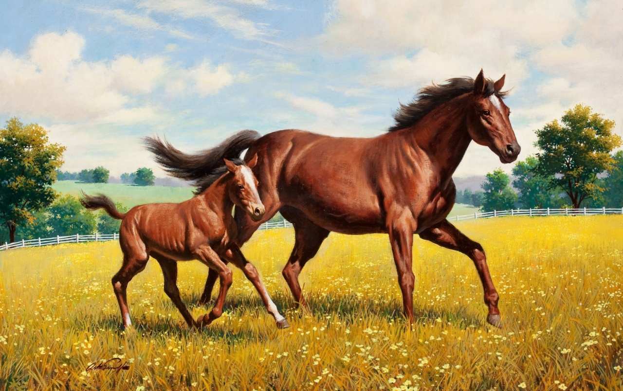 Beautiful Horses Wallpapers