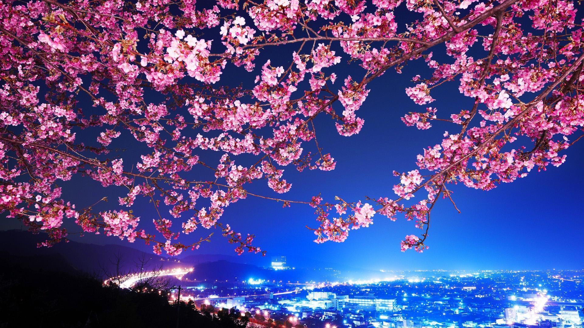 Beautiful Japanese Desktop Wallpapers