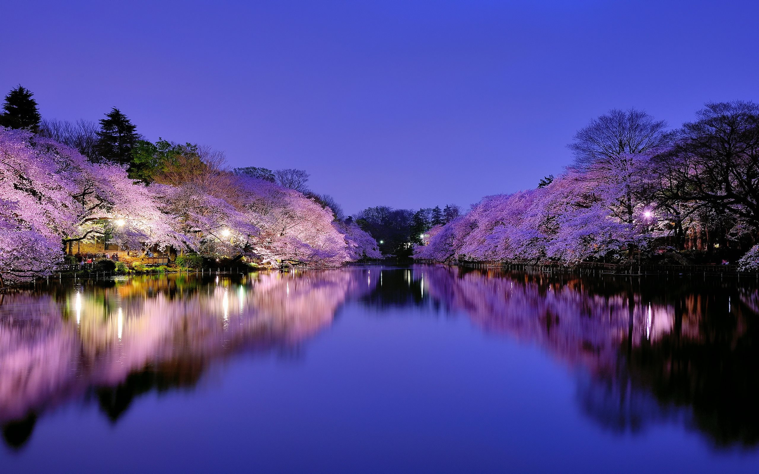 Beautiful Japanese Desktop Wallpapers