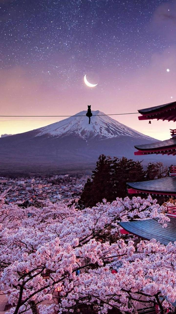 Beautiful Japanese Wallpapers